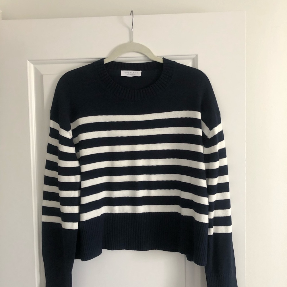 Everlane navy stripe sweater